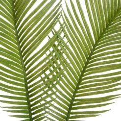 Green Sago Palm Stem By Ashland® -Flowers Michael Store 10626443 2