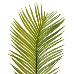 Green Sago Palm Stem By Ashland® -Flowers Michael Store 10626443 20