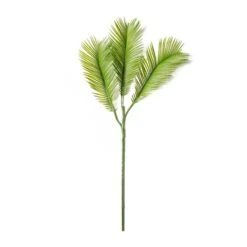 Green Sago Palm Stem By Ashland® -Flowers Michael Store 10626443 21 1