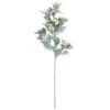 Frosted Dusty Miller Spray Stem By Ashland® 2 Frosted Dusty Miller Spray Stem By Ashland® -Flowers Michael Store 10626451 10