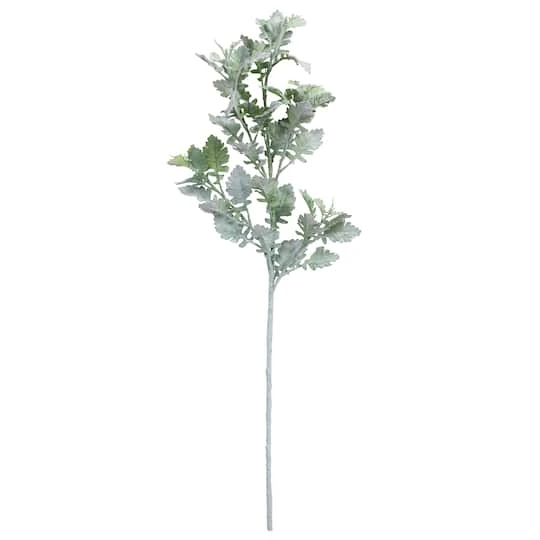 Frosted Dusty Miller Spray Stem By Ashland® 3 Frosted Dusty Miller Spray Stem By Ashland®