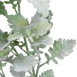 Frosted Dusty Miller Spray Stem By Ashland® 11 Frosted Dusty Miller Spray Stem By Ashland® -Flowers Michael Store 10626451 11
