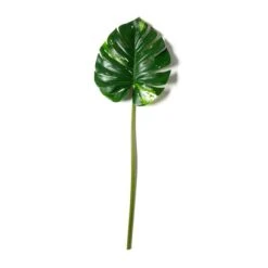 Monstera Leaf Stem By Ashland® 7 Monstera Leaf Stem By Ashland® -Flowers Michael Store 10626467 21 1