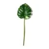 Monstera Leaf Stem By Ashland® -Flowers Michael Store 10626467 21