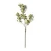 Green Berry Stem With Leaves By Ashland® -Flowers Michael Store 10626473 21