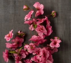 Mauve Peach Blossom Stem By Ashland® -Flowers Michael Store 10626479 25