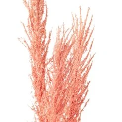 Peach Pampas Grass Stem By Ashland® 9 Peach Pampas Grass Stem By Ashland® -Flowers Michael Store 10626520 20