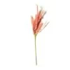 Peach Pampas Grass Stem By Ashland® -Flowers Michael Store 10626520 21