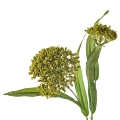 Green Queen Anne's Lace Stem By Ashland® -Flowers Michael Store 10626560 20