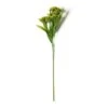 Green Queen Anne's Lace Stem By Ashland® -Flowers Michael Store 10626560 21