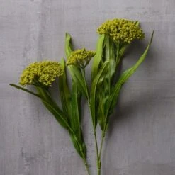 Green Queen Anne's Lace Stem By Ashland® -Flowers Michael Store 10626560 22