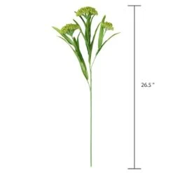 Green Queen Anne's Lace Stem By Ashland® -Flowers Michael Store 10626560 3