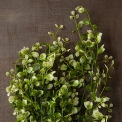 Two Toned Green Hanging Smilax Bush By Ashland® -Flowers Michael Store 10626845 25
