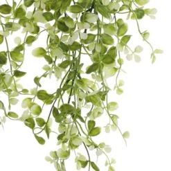 Two Toned Green Hanging Smilax Bush By Ashland® -Flowers Michael Store 10626845 3