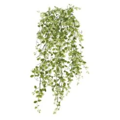 Two Toned Green Hanging Smilax Bush By Ashland® -Flowers Michael Store 10626845 4
