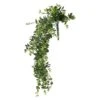 Green Hanging Eucalyptus Bush By Ashland® -Flowers Michael Store 10626930
