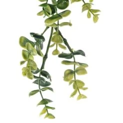 Green Hanging Eucalyptus Bush By Ashland® -Flowers Michael Store 10626930 20