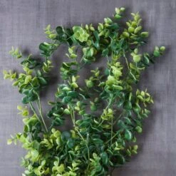 Green Hanging Eucalyptus Bush By Ashland® -Flowers Michael Store 10626930 22