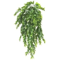 Hanging Ruscus Bush By Ashland® -Flowers Michael Store 10626982 1 1