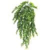 Hanging Ruscus Bush By Ashland® 2 Hanging Ruscus Bush By Ashland® -Flowers Michael Store 10626982 1