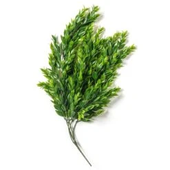 Hanging Ruscus Bush By Ashland® -Flowers Michael Store 10626982 21