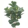Silver Dollar & Lamb's Ear Bush By Ashland® -Flowers Michael Store 10626983