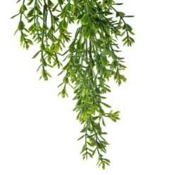 Green Boxwood Bush By Ashland® -Flowers Michael Store 10627315 20