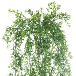 Green Boxwood Bush By Ashland® -Flowers Michael Store 10627315 3