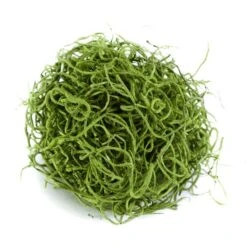 SuperMoss® Preserved Spanish Moss, Grass Green 13 SuperMoss® Preserved Spanish Moss, Grass Green -Flowers Michael Store 10627575 1