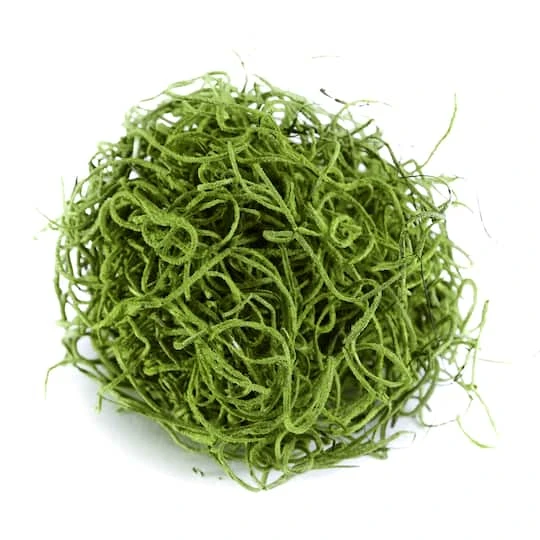 SuperMoss® Preserved Spanish Moss, Grass Green 7 SuperMoss® Preserved Spanish Moss, Grass Green - Image 5