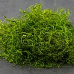 SuperMoss® Preserved Spanish Moss, Grass Green 14 SuperMoss® Preserved Spanish Moss, Grass Green -Flowers Michael Store 10627575 21