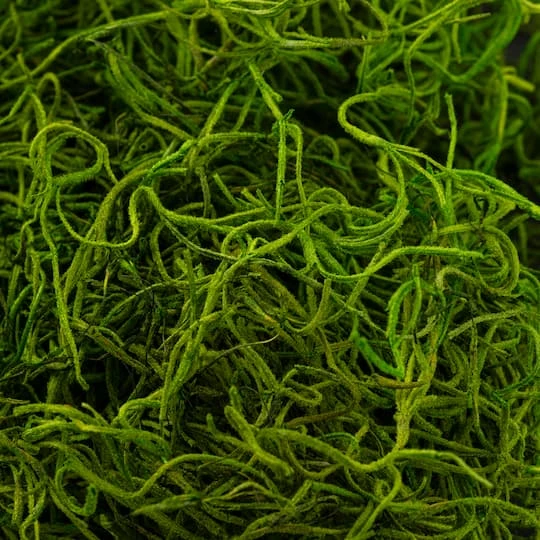 SuperMoss® Preserved Spanish Moss, Grass Green 9 SuperMoss® Preserved Spanish Moss, Grass Green - Image 7
