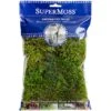 SuperMoss® Preserved Moss -Flowers Michael Store 10627578 10
