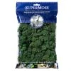 SuperMoss® Preserved Reindeer Moss, Forest -Flowers Michael Store 10628604