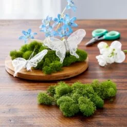 SuperMoss® Basil Reindeer Moss -Flowers Michael Store 10629837 20