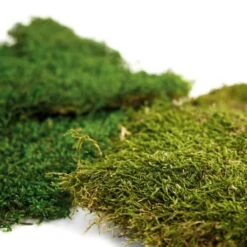 SuperMoss® Preserved Sheet Moss -Flowers Michael Store 10629850 4