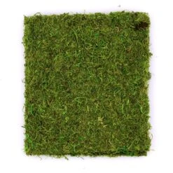 SuperMoss® Instant Green All-Purpose Moss Mat -Flowers Michael Store 10629852 2
