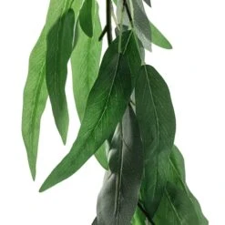 6ft. Willow Eucalyptus Garland By Ashland® 12 6ft. Willow Eucalyptus Garland By Ashland® -Flowers Michael Store 10676302 20