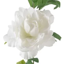 6ft. Cream Peony Garland By Ashland® -Flowers Michael Store 10676304 20