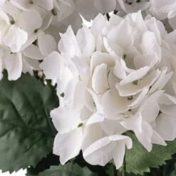 White Hydrangea Bush By Ashland® -Flowers Michael Store 10677450 20