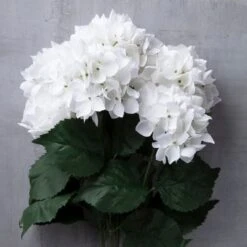 White Hydrangea Bush By Ashland® -Flowers Michael Store 10677450 22
