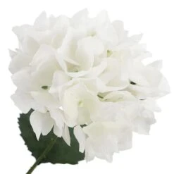 White Hydrangea Bush By Ashland® -Flowers Michael Store 10677450 3
