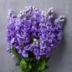 Purple Wisteria Bush By Ashland® -Flowers Michael Store 10677451 22