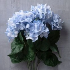 Light Blue Hydrangea Bush By Ashland® -Flowers Michael Store 10677452 22
