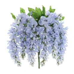 Blue Wisteria Bush By Ashland®