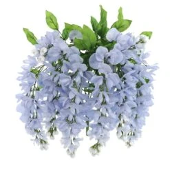 Blue Wisteria Bush By Ashland® -Flowers Michael Store 10677460 5