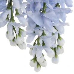 Blue Wisteria Bush By Ashland® -Flowers Michael Store 10677460 6