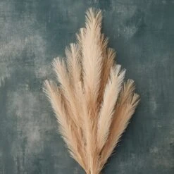 Wispy Pampas Grass Stem By Ashland® -Flowers Michael Store 10679178 20