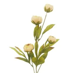 Tan Peony Stem By Ashland® -Flowers Michael Store 10679183 2