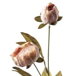 Tan Peony Stem By Ashland® -Flowers Michael Store 10679183 20